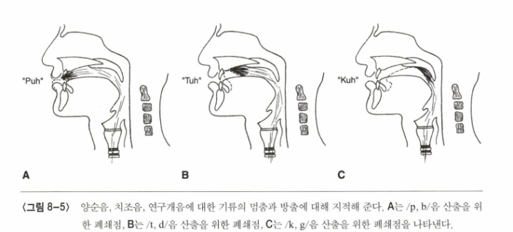구개열(cleft palate) 아동의 보상조음치료(부적응적 보상 오조음)1_ 기류 방향 오류 수정 : 네이버 블로그