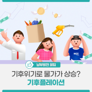 사과, 초콜릿 가격 상승 원인이 기후위기 때문? '기후플레이션' 알아보기