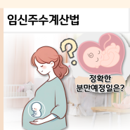 임신주수계산기 임신주차계산 출산예정일계산기 분만예정일 네이버 육아어플 정확한 것은?