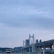 [부산 데이트] 요트타자 : 불금엔 광안리 요트 투어 ! 6시 30분 선셋투어 후기