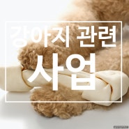 강아지 관련 사업 소자본 창업이 가능한 강아지 수제간식 공방 창업