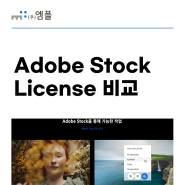 Adobe Stock License 비교