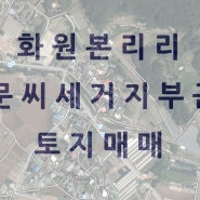 [대구카페추천토지매매]화원읍 본리리 문씨세거지부근 카페 찻집 추천 토지매매 - 금강부동산 -