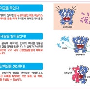 GMO식품이 자폐스펙트럼과 관련이...?