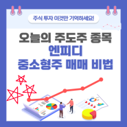 오늘의 주도주 종목 엔피디 중소형주 매매 비법 차트분석 및 종목분석