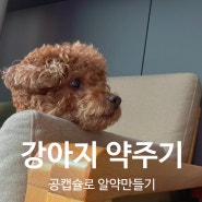 강아지 가루약 공캡슐로 알약 만들어 먹이기