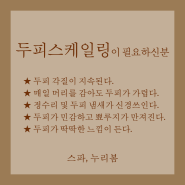 김해피부관리 스파, 누리봄 두피스케일링이 필요하신 분!