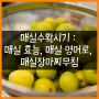 매실수확시기 : 매실 효능, 매실 영어로, 매실장아찌무침