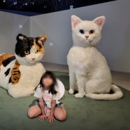아이와 가보기 좋은 전시 - 우리를 홀린 고양이 요물, 국립민속박물관