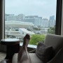 홍콩 뉴월드 밀레니엄호텔 3박4일 자유여행