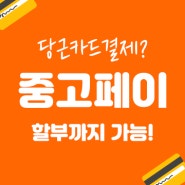 당근카드결제, 할부까지 된다고? 중고페이라면 100% 가능!