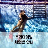 서울 수원 용인 프리다이빙 체험 방법 비용 이벤트 안내
