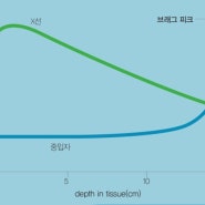 중입자 암 치료 - 췌장암과 간암 치료 시작 (전립선암 치료에 이어)