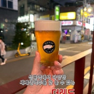 [선릉역 맛집] 맥주러버라면 좋아할 다양한 수입생맥주 PUB, '더레드'