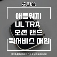 애플워치 Ultra 오션 밴드 49mm Cellular 티타늄 퀵서비스매입