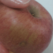 아침에 사과 한 조각 식사 대용 건강주스 칼로리 영양성분