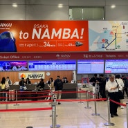 간사이 공항에서 오사카 난바 가는 법 난카이 라피트 티켓 예약 사용 후기