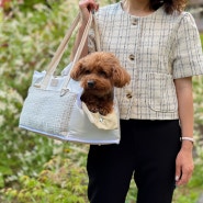 기내용 애견가방 가볍고 편한 이동과 휴식 쉼쉼 강아지 가방