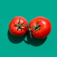 토마토 알레르기 ㅣ Tomato Allergy