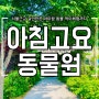 서울근교갈만한곳 아이랑 아침고요수목원 동물원 먹이체험 입장료 및 후기