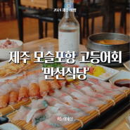 제주 고등어회 맛집 '만선식당' 내돈내산 후기 모슬포항 미영이네 옆집 딱새우도 맛있는 곳