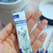 마이펫부 고양이타우린유산균 효과좋고 성분좋은 고양이유산균추천