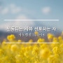 선동하는 자와 선포하는 자 / 사도행전 14:1-18