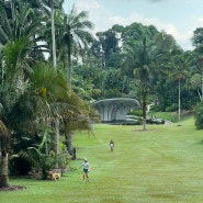 싱가포르 도심 속 정원 보타닉 가든 백조의 호수, 팜 밸리 론 산책