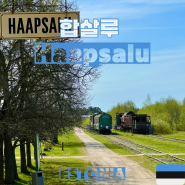 에스토니아 여행 #6-1 (합살루) 너무 조용한 도시 합살루 당일치기. 합살루 철도박물관, 합살루 성, Wiigi Kohvik