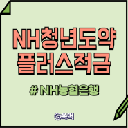 NH농협은행 NH청년도약플러스적금 금리 연 5%