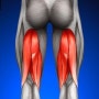 관절염 걱정 날리는 엉덩이 근육 운동