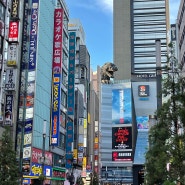 [일본 여행] 한여름의 도쿄 여행 추억 아카이브 #1