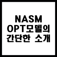 NASM 나즘 미국 스포츠의학협회 기준 트레이닝방법론 OPT 모델에 대한 이해