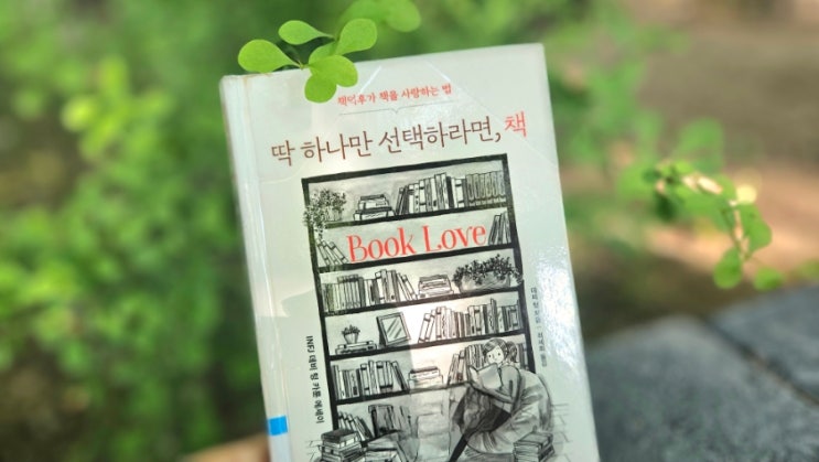 나와 똑 닮은 책덕후의 사랑법 | 딱 하나만 선택하라면, 책 | 데비 텅 카툰에세이 : 네이버 블로그