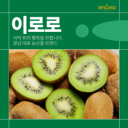 경남 대표 농산물 브랜드 이로로 과일