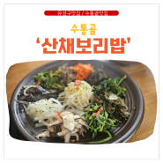 대전 수통골 맛집 1만원의 행복한만찬 "산채정식"