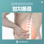 천장관절증후군? 엉치 통증 악화되지 않도록