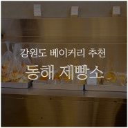 강원도 베이커리 브런치 즐기기 좋은 동해제빵소