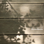 초여름의 정원을 꾸며요! 여름꽃이 피고있는 블룸블룸 - 범계꽃집 가드닝 플라워클래스