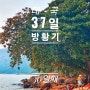 [태국 37일간의 방황기] 30일째 피피섬 롱비치 스노클링 Paradise Cuisine Phi Phi D.M.C Restaurant