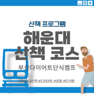 산책 프로그램) 해운대 산책 코스