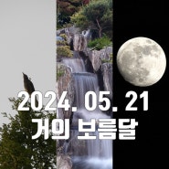 계획에 없었던 2024년 5월 21일 거의 보름달 촬영 feat. 새 & 폭포
