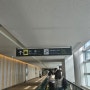 6월 삿포로 4박5일 여행(2) - 신치토세공항 입국