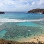 하와이 자유여행 가볼만한곳 8곳 관광지 하와이항공권 가격 비교