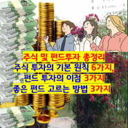 주식, 펀드 & 채권투자 총정리 : 주식 투자의 기본 원칙 6가지, 펀드 투자의 이점 세 가지, 좋은 펀드 고르는 방법 3가지, 채권 투자 핵심 포인트 및 종류