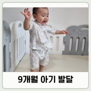 9개월 아기 발달 혼자 일어서기 걷기 쉴틈없는 걸음마연습