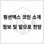 펑션엑스 코인 소개와 정보 및 앞으로 전망