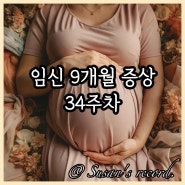 임신 후기 9개월 증상 34주차 아랫배 통증 배뭉침 수축 허리통증 분비물