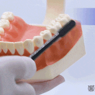 올바른 양치질 방법, 치과의사가 양치하는 법 알려드립니다!