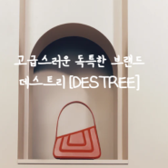 이부진 백으로 유명한 고급스러움을 뛰어넘은 독특한 브랜드 데스트리 DESTREE